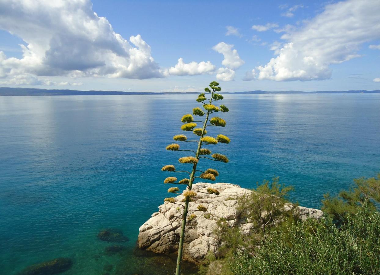 3e Apartman Split